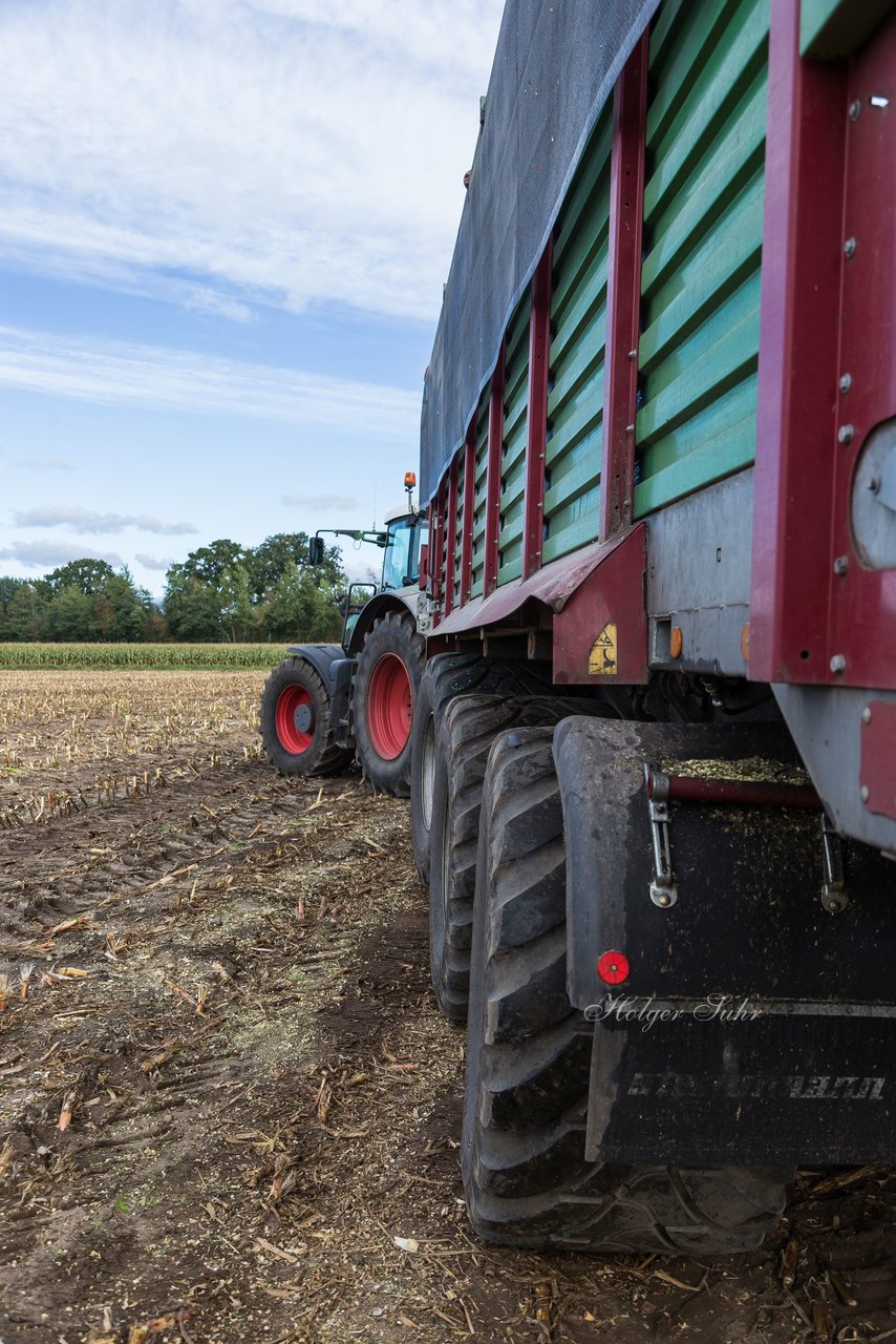 Bild 169 - Maisernte